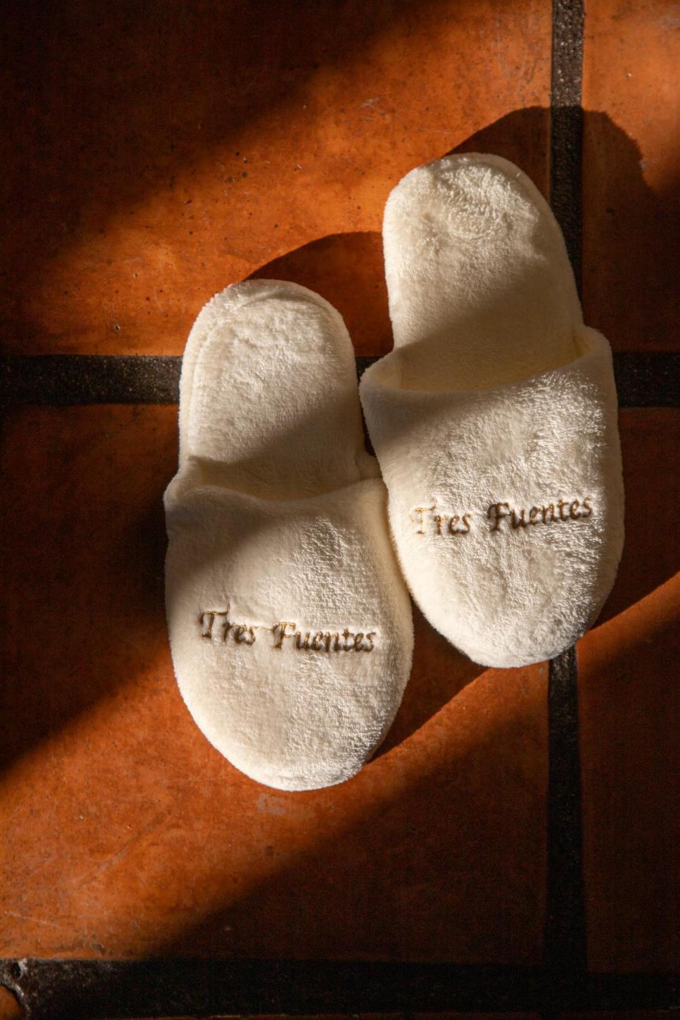 Tres Fuentes Dickinson Hotel Boutique ซานมิเกล เด อาเญนเด ภายนอก รูปภาพ