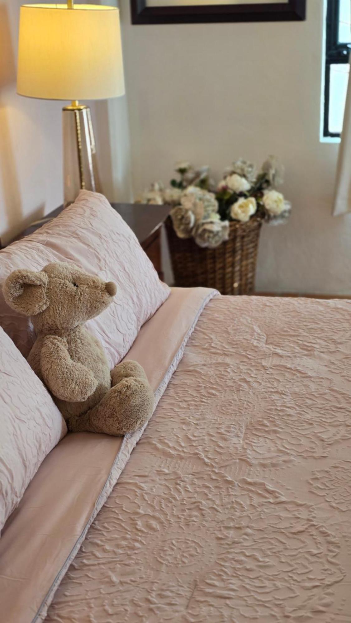 Tres Fuentes Dickinson Hotel Boutique ซานมิเกล เด อาเญนเด ภายนอก รูปภาพ